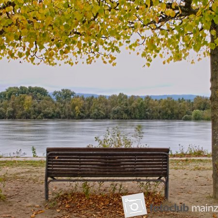 Herbst